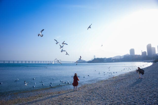 Qingdao